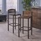 GDFStudio Truda Indoor Acacia Barstools with Rustic Metal Finish Iron Frame (Set of 2)